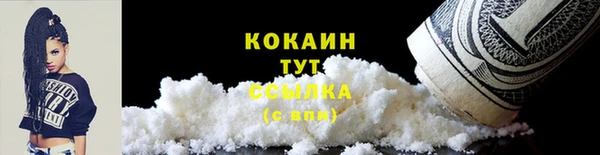 индика Куйбышев