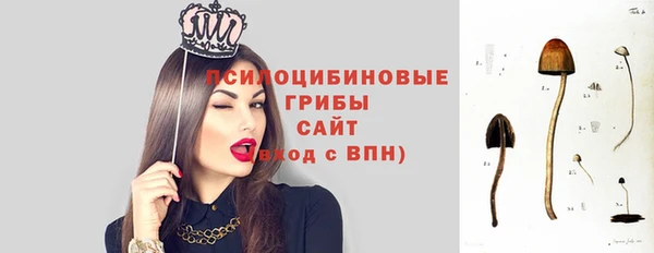 тгк Северская