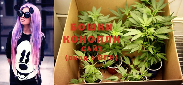 тгк Северская