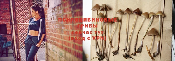 молекула духа Кочубеевское